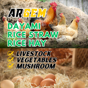 ARGEM Dayami ng Palay at Bunot ng Niyog for Chicken Nesting Bedding for Birds Rabbit Pig