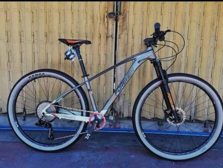 Forever best sale 29er bike