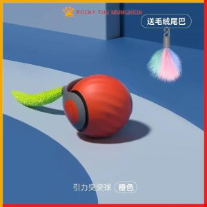 Speedy Sprint Ball Toy for Cat Type-C Rechargeable Interactive Cats Toys