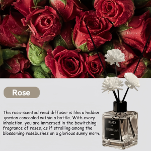 (Shipping from Malaysia)Aromatherapy Reed Diffuser Air Freshener 50ml Aromatherapy Essential Oil Perfume Air Freshener Flameless Water Soluble Healthy