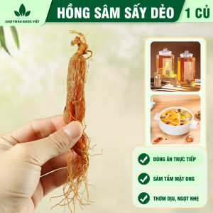 Hồng sâm sấy dẻo 100g ( Nhân sâm củ sâm râu bồi bổ sức khỏe ) - Chợ Thảo Dược Việt