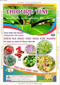[1KG] Thiourea 99%-Thiourea Tím-Xử lý ra hoa nghịch vụ-kích ra hoa-vọt hoa cực mạnh