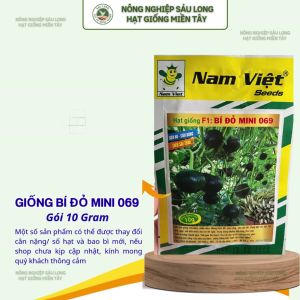 Hạt Giống Bí Đỏ Mini F1 069 Siêu Sai Trái – 10g – Nam Việt Seeds