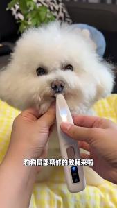 2026 Hot Sale [ Shipped from China ] Waterproofshaver rechargeable cat paw trimmer clipper for trimming around the eyes and tail dog clipper with light B3