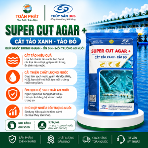 SUPER CUT AGAR + CÁT TẢO XANH - TẢO ĐỎ DIỆT TẢO ĐỘC thủy sản - LÀM SẠCH HOÀN TOÀN TẢO TRONG AO NƯỚC