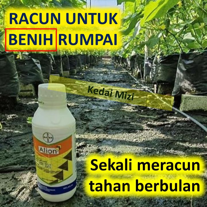 Alion Racun Rumpai Pra Cambah Pre Emergence Herbicide 100 mL | Lazada ...