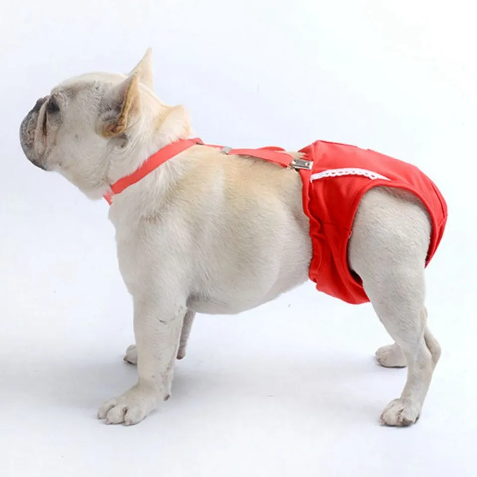 Physiological Pants Sanitary For Female Pet Dog Puppy Nappy Diaper Underwear  US | eBay