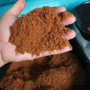 Mùn dừa cấp ẩm nuôi ốc mượn hồn thú cưng sạch tự nhiên. OMH HCM
