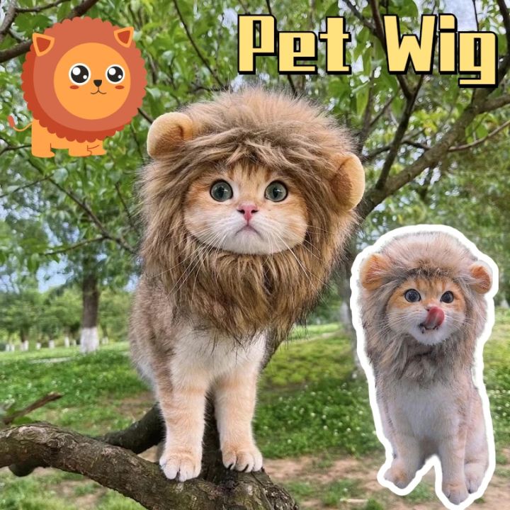 Funny Pets Cap Cute Cat Wig Lion Mane Kitten Dog Hat with Ears Fancy Party  Supplies Lazada PH