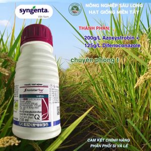 Chai 250ml Amistar Top 325SC chuyên phòng trị bệnh rỉ sắt thán thư khô vằn và lem lép hạt do Syngenta sản xuất.