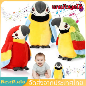 [พร้อมส่ง] นกแก้วพูดได้  ตุ๊กตานกแก้วพูดได้ พูดตามได้ทุกภาษา มีเพลง รุ่นชาร์จ USB และใส่ถ่าน