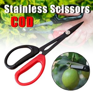 Scissors Grape Pruning Shears Stainless Steel Long Pointed Garden Shears Branch Picking Scissors Gardening Tools