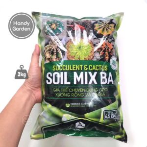 [HCM] Đất Soil Mix BA 65dm³ - đất trộn sẵn trồng sen đá xương rồng hương thảo giá thể hữu cơ tơi xốp nguyên liêu ngoại nhập