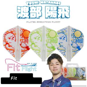 COSMO FIT FLIGHT - Youhi Watanabe STANDARD NORMAL HARD FIT FLIGHTS 3PCS/PACK (SAYAP ARROW)
