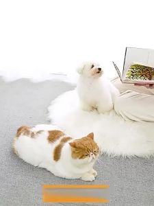 Cooling Pad Dog Sleep Bed Ice Mat Indoor And outdoor in Summer Pad Cat Rabbit Ice Mat