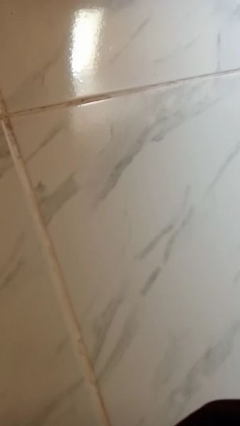 Buyer review video 3