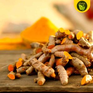 luyang dilaw herb and spice 1 pc. bulb turmeric