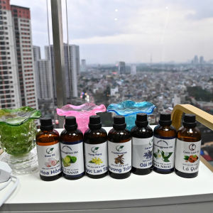 Đèn xông tinh dầu Quả Dứa chất liệu thủy tinh cao cấp
