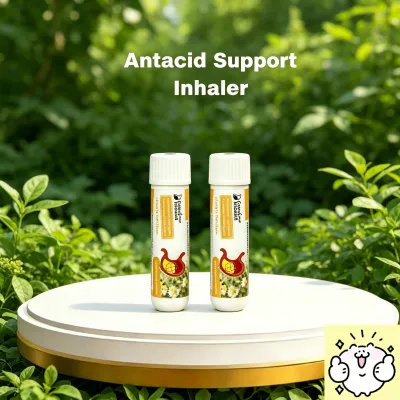 3pcs GastoEase Naturals Antacid Support Inhaler Herbal Digestive Aid Medicines & Remedies