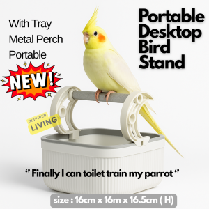 Parrot Platform & Transparent Ladder (Easy-Clean) | Space-Saving Corner Perch | Bird Toy for Small–Medium Parrots