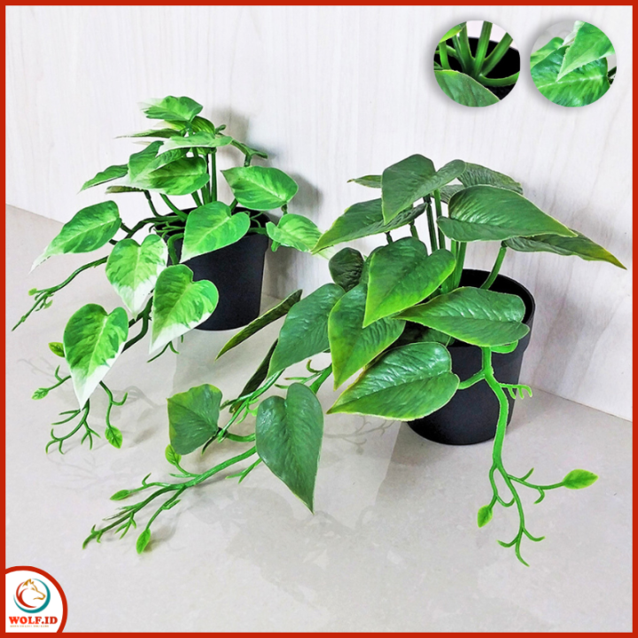 Tanaman%20Hias%20Daun%20Plastik%20Artificial%20Sepaket%20Pot%20Bunga%20Rambat%20Julur%20Dekorasi%20Hiasan%20Ruangan%20PBP115%20-%20Image%202