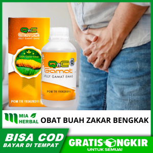 Obat Buah Zakar Bengkak - Obat Varikokel - Qnc Jelly Gamat 300 ml