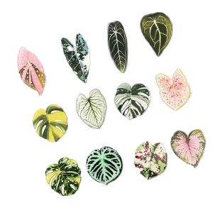10/5 Pcs Leaves Turtle Back Bamboo Decoration Refrigerator Sticker Magnetic Tape Tropical Plant Magnetic Suction Note Decoration Sticker Student Gift