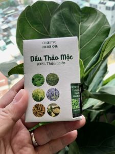 Tinh dầu Aroma Hương Đà Lạt thông bạc hà rã hương gỗ 10ml