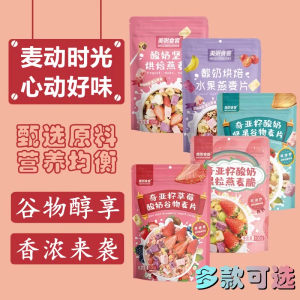 【100g】Yogurt Nut & Fruit Oatmeal – Instant For Breakfast or Snacking 酸奶坚果水果燕麦片