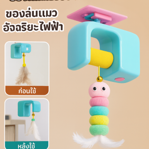 ประตูแขวน ของเล่นแมวaskofjhawoiefwer