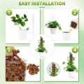 LZD 24 Inch Plant Plastic Moss Pole Plant Pile and Mud Moss Support Climbing Plant Pole Moss Pole. 