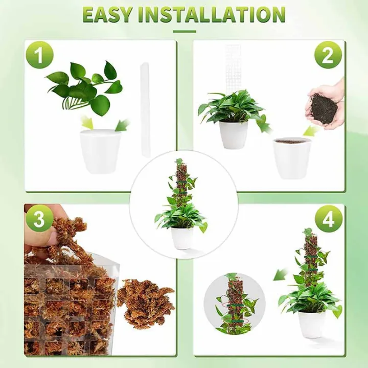 LZD%2024%20Inch%20Plant%20Plastic%20Moss%20Pole%20Plant%20Pile%20and%20Mud%20Moss%20Support%20Climbing%20Plant%20Pole%20Moss%20Pole%20-%20Image%204