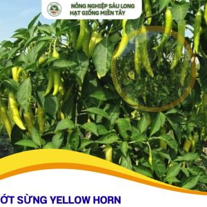 GÓI 1000 HẠT GIỐNG ỚT SỪNG ĐTV YELLOW HORN