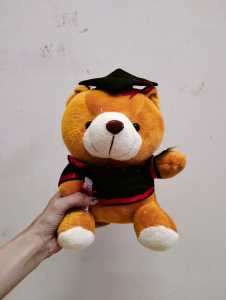 Dreamtoys96 Boneka Wisuda Boneka Beruang Toga Buket Bunga Wisuda 8
