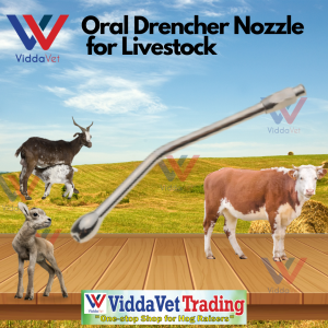 Drench syringe nozzle Oral drencher Stainless steel Oral drencher nozzle for piglets feeder accessories Stainless oral