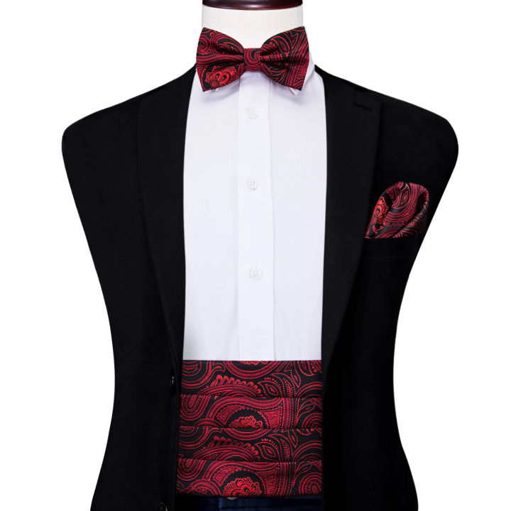 YF-2006 Hi-Tie Luxury Designer Paisley Red Cummerbund Bow tie Set ...