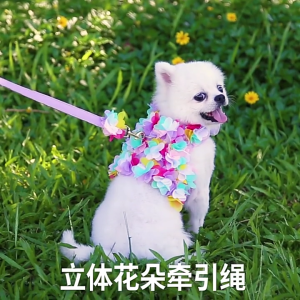 Pet Dog Lace Dress with Leashes Small Pet Harness Bichon Dress Pullover Outfit Dog Photo Clothes