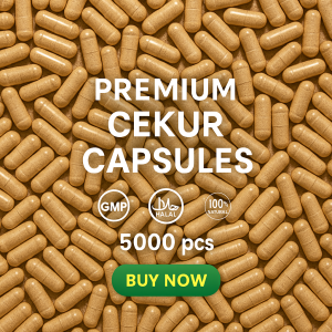 Cekur / Kencur 5000 Capsules Traditional Herbs Manufacturer