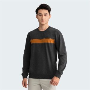 Áo nỉ Sweatshirt Nam Aristino Cotton Regular Fit ASW004W2