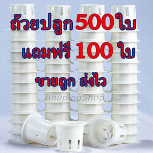 ส่งไว!! ขายถูก!! #ถ้วยปลูกผักไฮโดรโปนิกส์ ชุด 500ใบ ฟรี 100 ใบ #ถ้วยปลูกผักสลัด คุณภาพสูง หนา แข็งแรง ทนทาน คุ้มค่าที่สุดในตลาด! รับประกันคุณภาพและการส่งมอบที่รวดเร็ว ด้วยราคาสุดพิเศษที่ไม่ควรพลาด ตัดสินใจวันนี้เพื่อรับข้อเสนอสุดคุ้ม