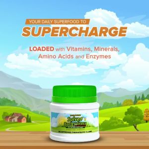 Salveo Barley Grass Juice Powder 240grams Organic