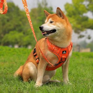 PERNEAKY Có thể điều chỉnh Bộ dây dắt chó Phản quang Thoáng khí Dây đai cho mèo Dụng cụ đi dạo cho thú cưng Chống trốn thoát Dây đeo ngực cho chó con dành cho chó nhỏ và vừa