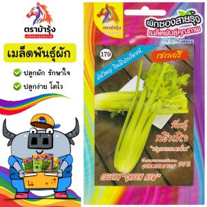 RAINBOW HORSE 🇹🇭 ผักซอง ตราม้ารุ้ง Z179 เซเลอรี่ พันธุ์ กรีนนิว เมล็ดพันธุ์ เมล็ดพันธุ์ผัก เมล็ดพันธุ์ ผักสวนครัว ตราAAA