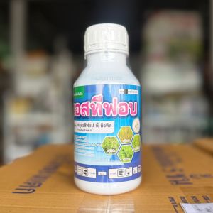 เอสทีฟอบ ฟลูอะซิฟอบ สารกำจัดวัชพืช (ใบแคบทุกชนิด) หญ้าใบแคบ ลูกข้าว ในพืชประธานใบกว้าง เช่น ถั่ว แตง มันสำปะหลัง คะน้า หอม กระเทียม พริก แปลงผัก