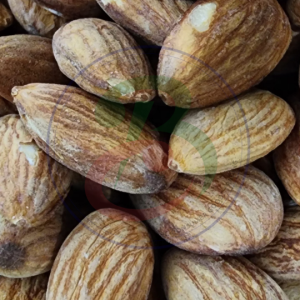 Premium Raw Almond Nuts (Imported)