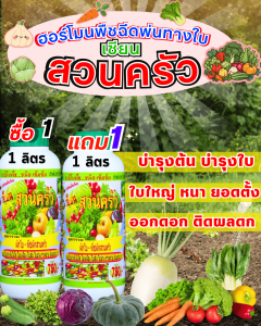 โปรซื้อ 1 แถม 1 เซียนสวนครัว ฮอร์โมนฉีดพ่นทางใบ บำรุงต้น บำรุงใบ ต้นโตเร็ว หยุดปัญหา ต้นไม่โต ต้นแคระแกร็น ใบเหลือง ใบม่วง