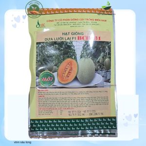gói 10 hạt giống F1 DƯA LƯỚI hàn Quốc ssc rất ngọt tăng đậu trái