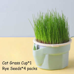 Organic Cat Grass Cultivation Cup Soilless Hydroponic Planting Pet Cat Treat Snack Grass Box Treats