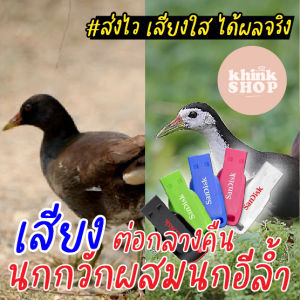 ต่อกลางคืน เมมเสียงนกกวักผสมนกอีล้ำ แฟลชไดร์ฟเสียง เสียงต่อนกกวักผสมนกอีล้ำ