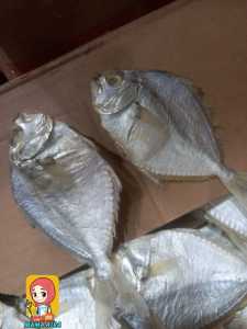 COD ikan asin petek super 1 kg